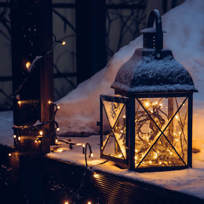 LED 20個まとめ売り Outdoor Christmas Lights – Bright Garden Decor