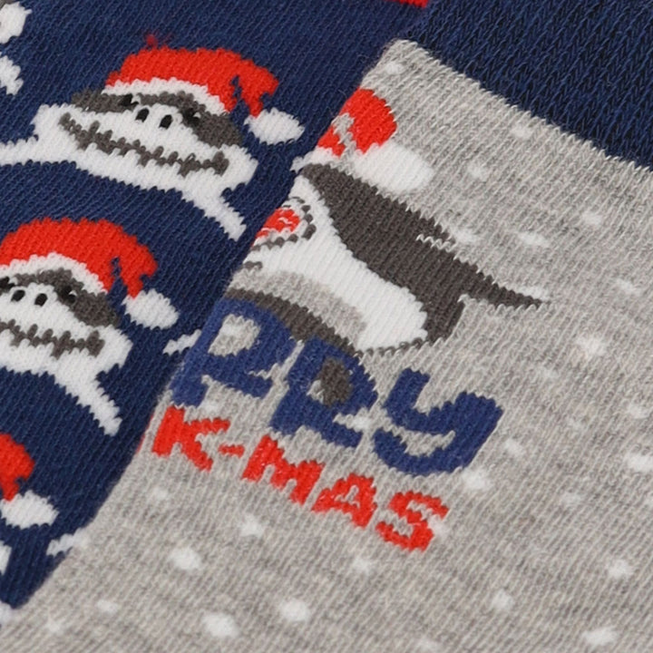Apollo Kids X-Mas Socks 2-Pack Bubble