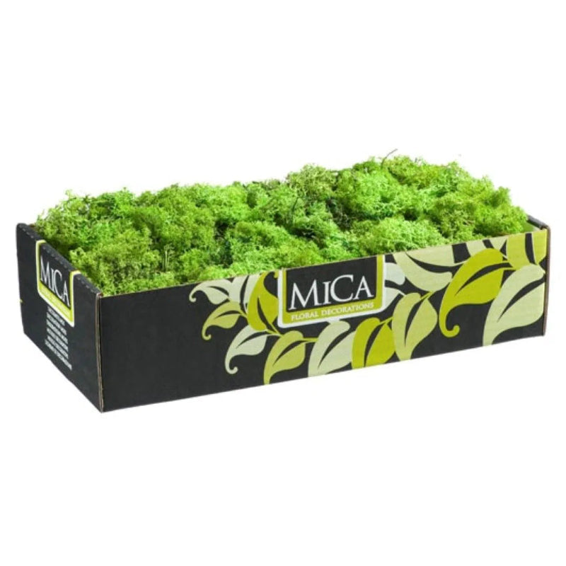 Reindeer Moss 500g