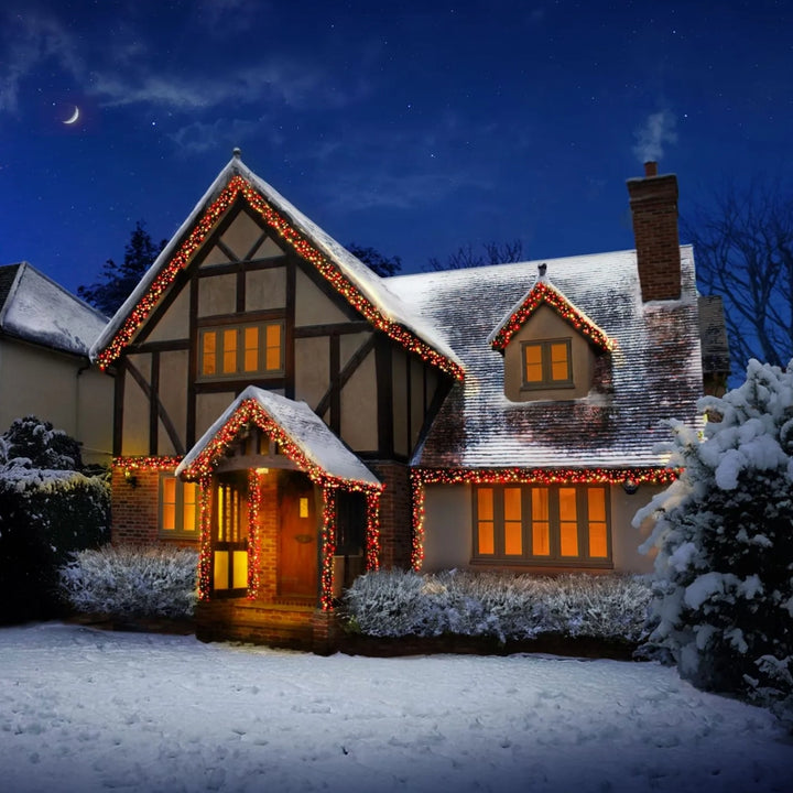 3000 LED Multi-Action Cluster Christmas Lights with Timer