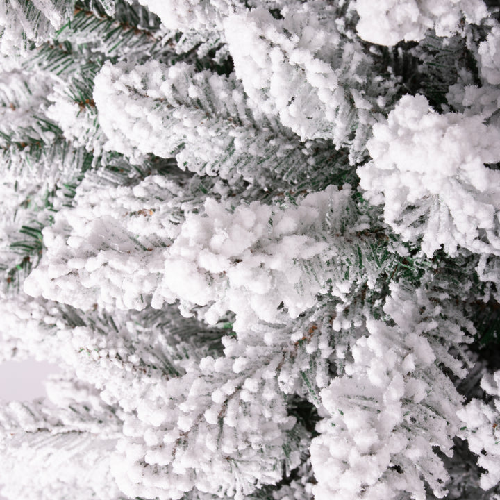 Close-up of a frosted Christmas tree branch with snow on it