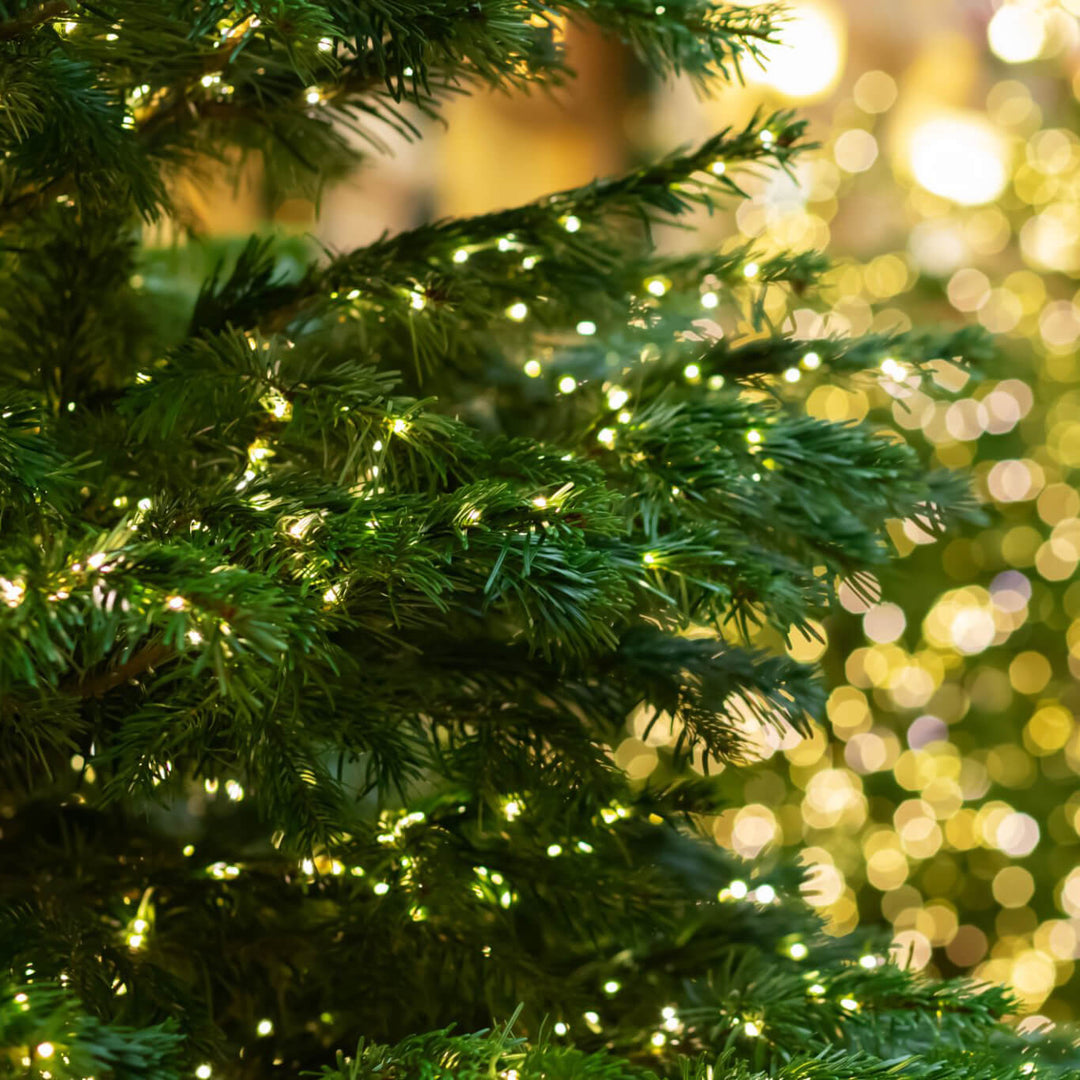 Bright Christmas Tree Lights