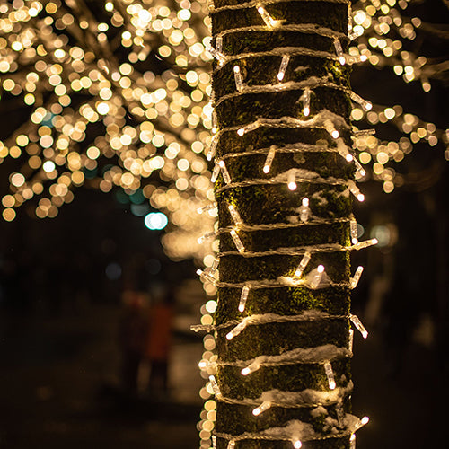 Outdoor String Lights