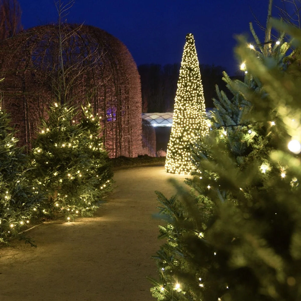 Outdoor Christmas Trees