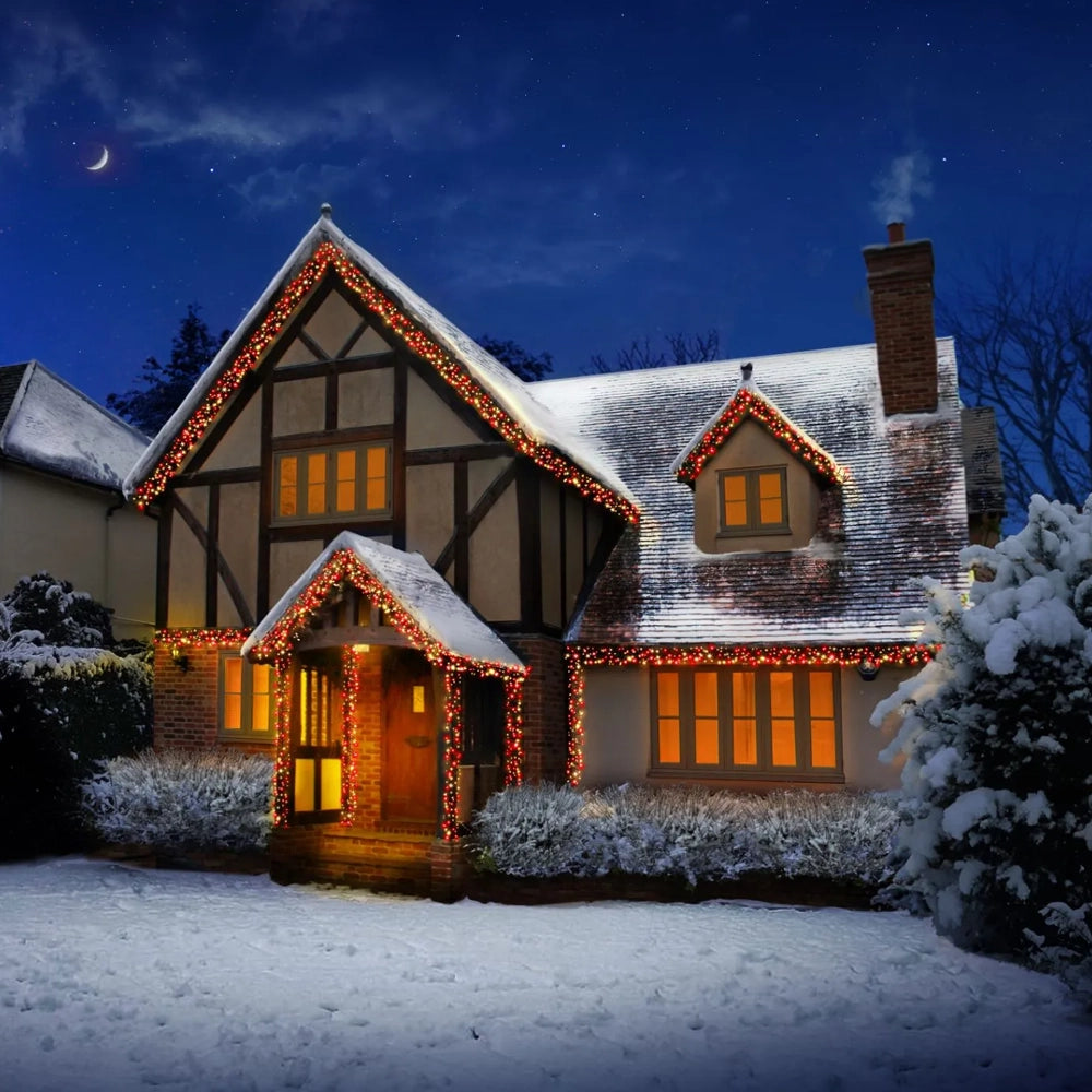 3000 LED Multi-Action Cluster Christmas Lights with Timer