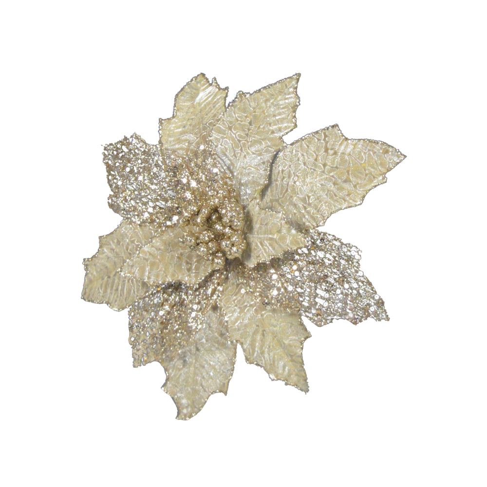 Gold poinsettia 