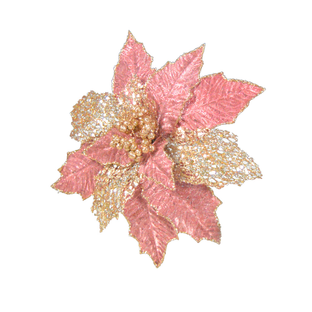 Pink poinsettia 