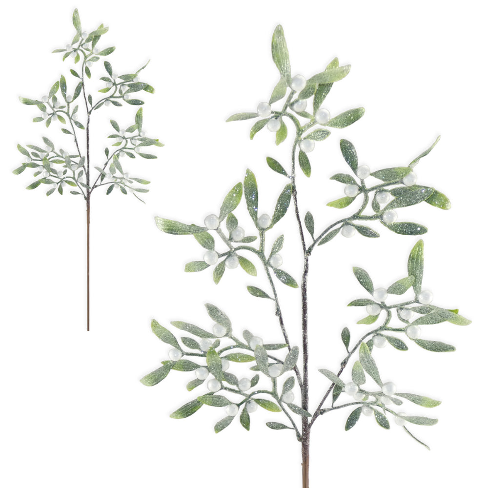 Mistletoe Stem