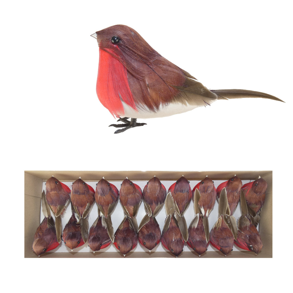 robin