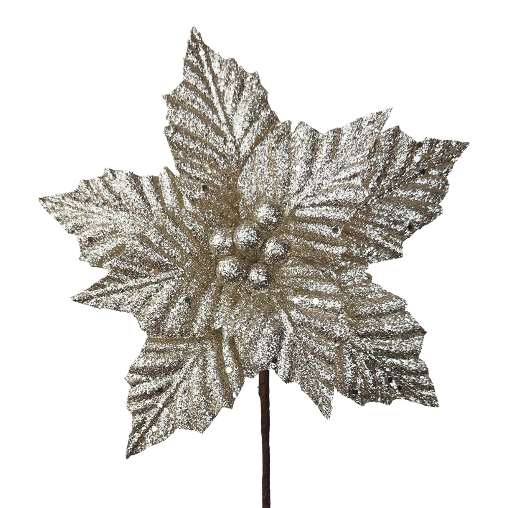 Champagne Sparkle Poinsettia