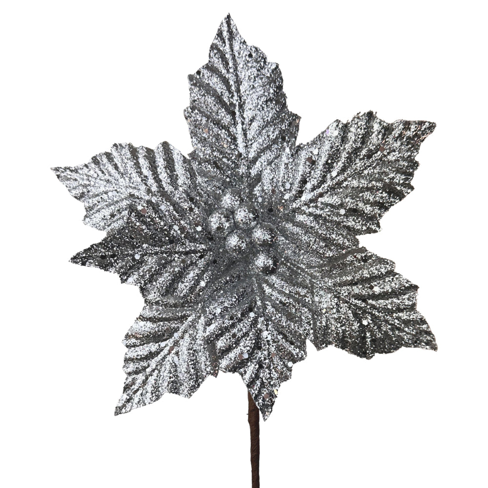 Silver Sparkle Poinsettia