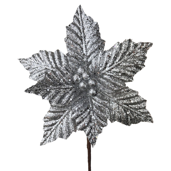 Silver Sparkle Poinsettia