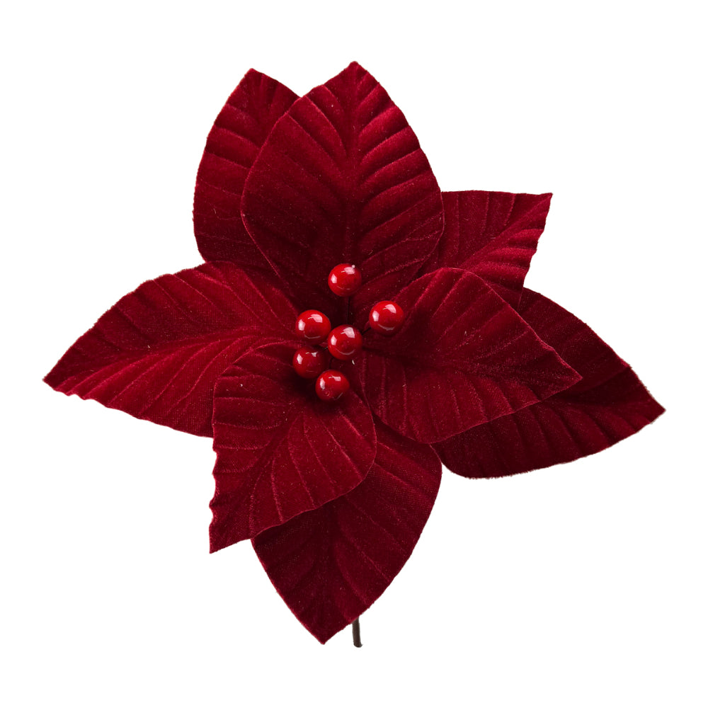 Red poinsettia