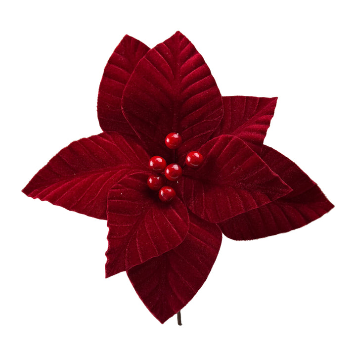 Red poinsettia