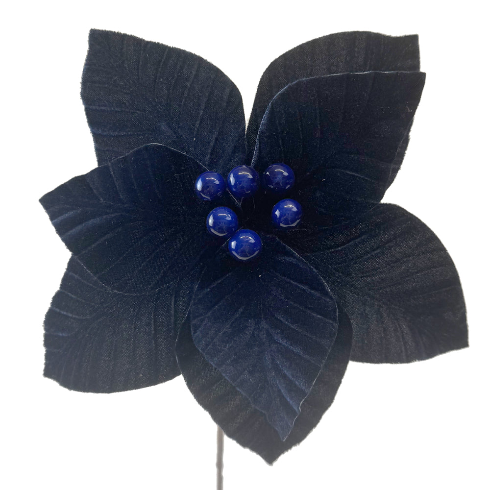 Navy poinsettia