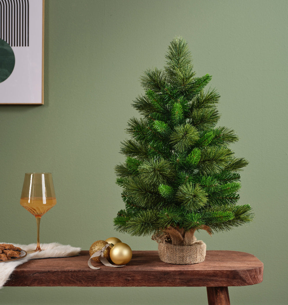 75cm Edmonton Spruce