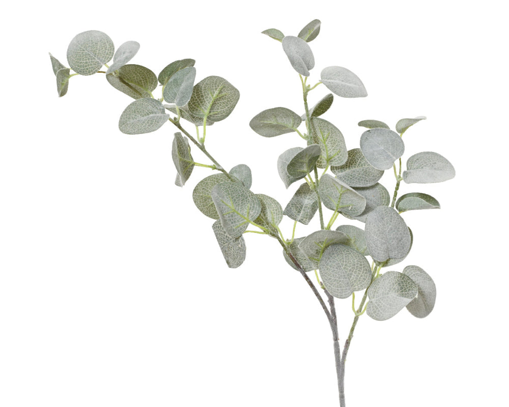 Eucalypthus Flock Finish