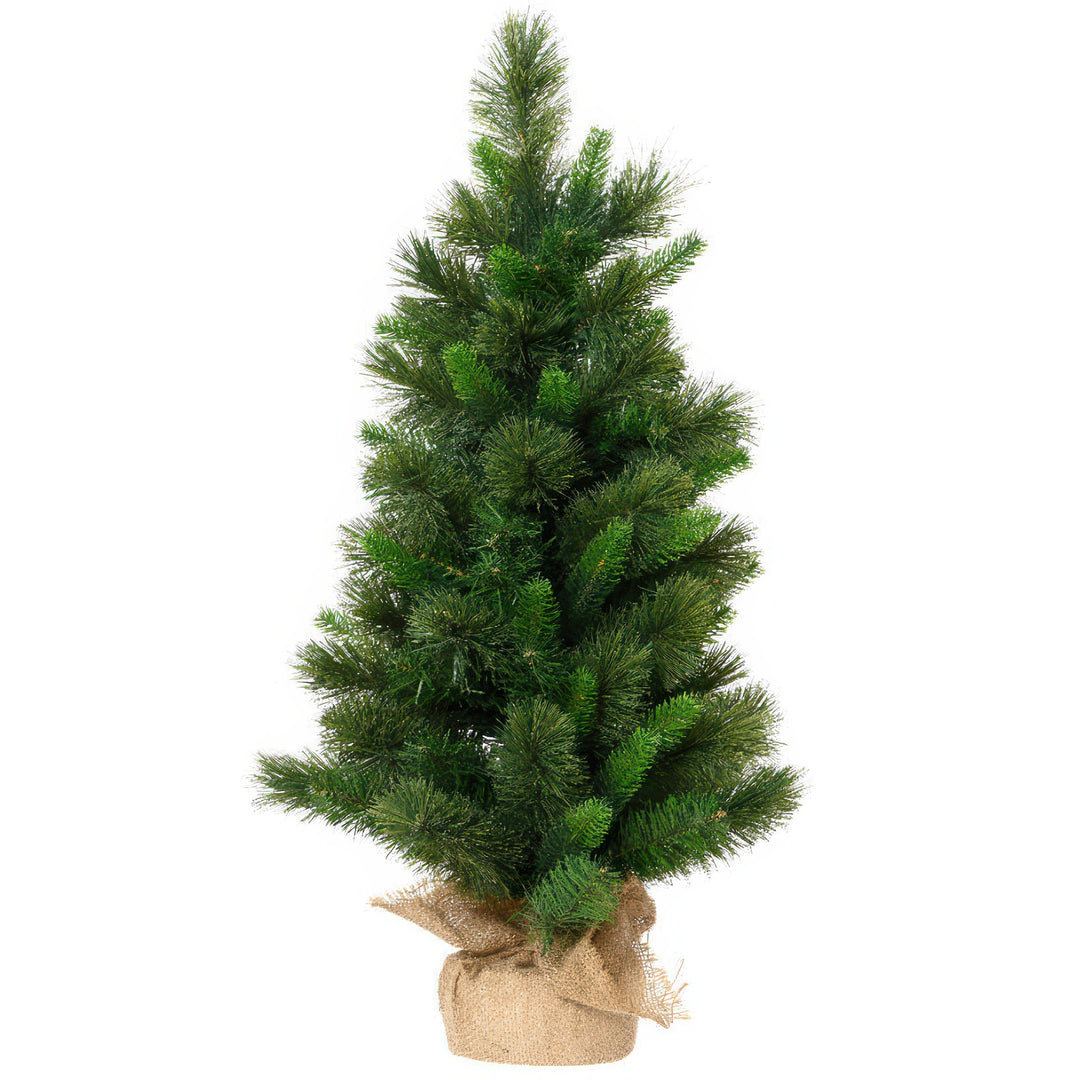75cm Edmonton Spruce