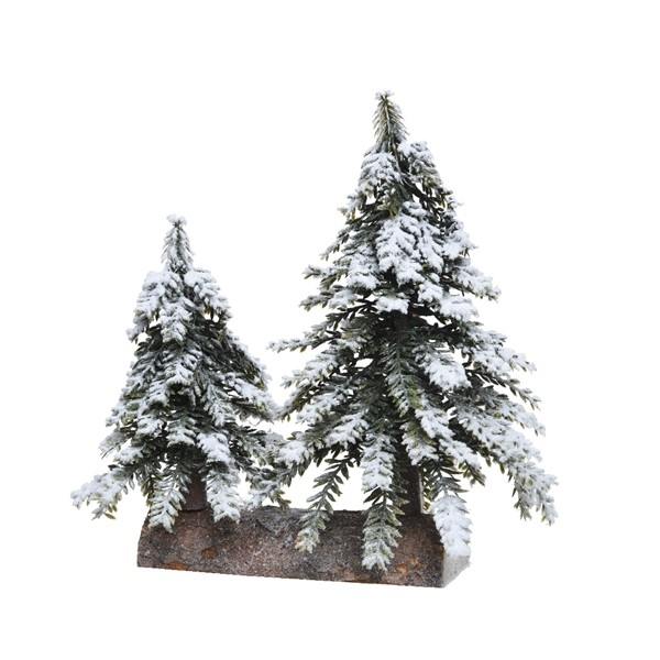 Mini Christmas Trees On Fir Wood