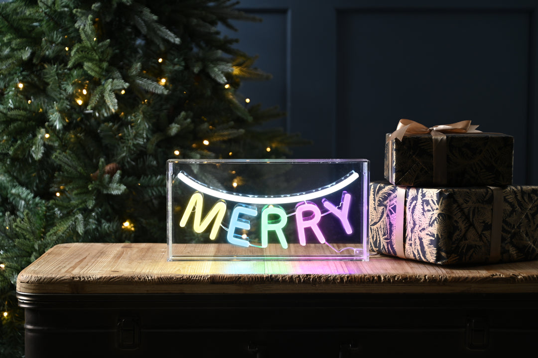 30cm Multicolour Neon Flex Merry Sign