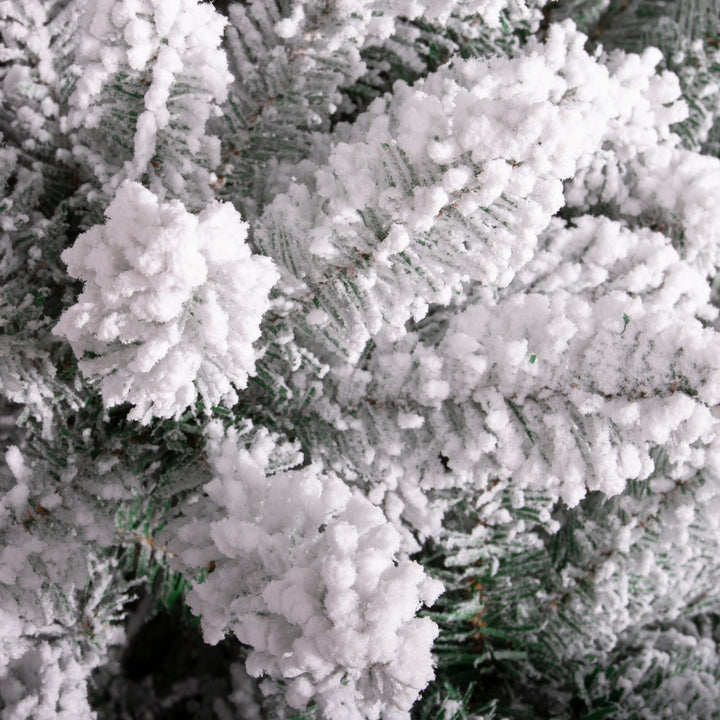 Close-up of a frosted Christmas tree branch with snow on it

