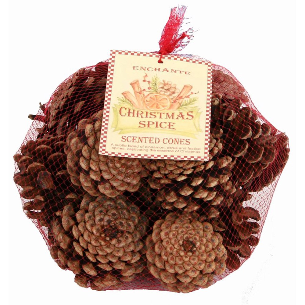 christmas spice scented pinecones