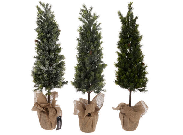 80cm Pine Tree In Burlap Pot