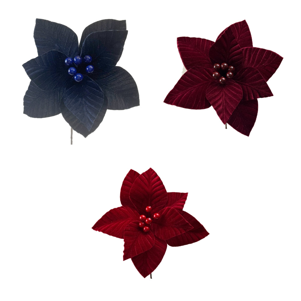 black, red, and burgundy poinsettia