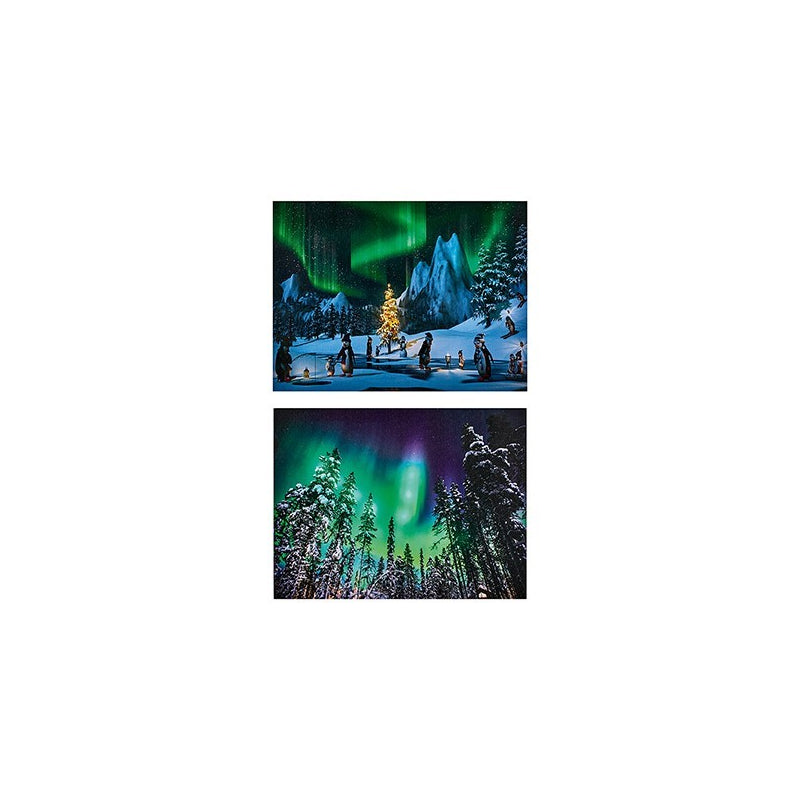 Battery Operated Lit Canvas W/ 5 LEDs - Northern Lights