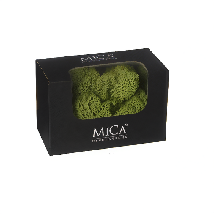 Reindeer Moss 50g