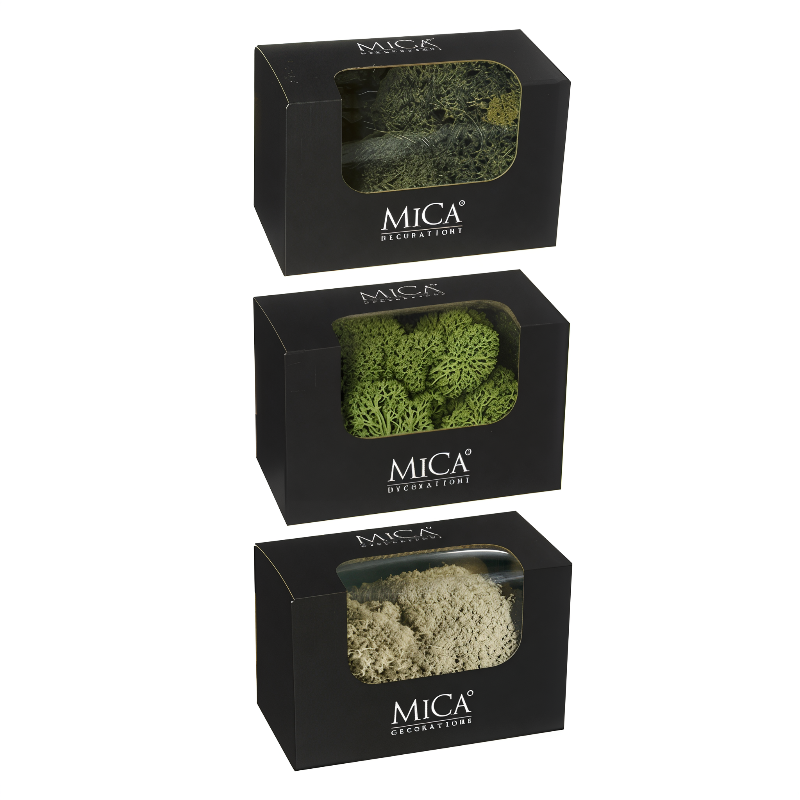 reindeer moss 50g