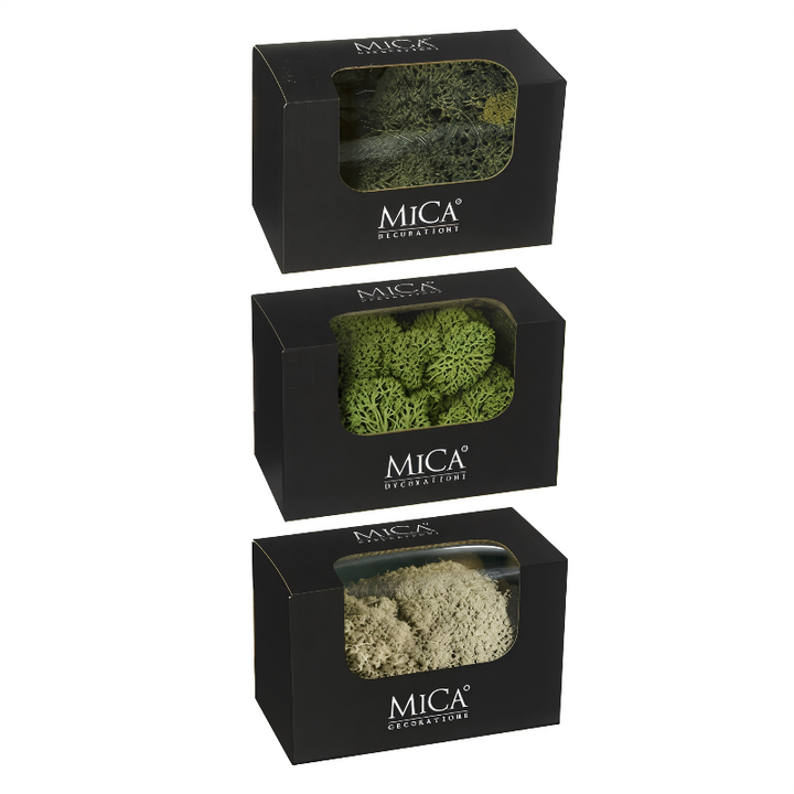 reindeer moss 50g
